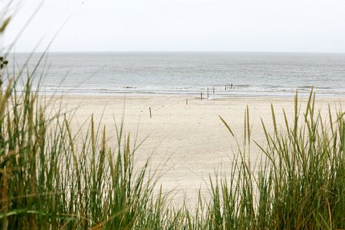 Dunes, beach and sea on the Dutch Wadden island of Ameland, near Hollum.