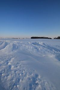 Schneeverwehungen bei Neukamp, Putbus, Insel Rügen