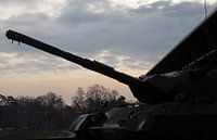 Leopard Tank, Nationaal Militair Museum, Soest van Maurits Bredius thumbnail