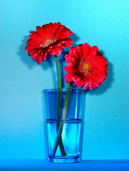 Rode bloemen op blauw par Ruurd Dankloff