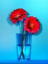 Rode bloemen op blauw par Ruurd Dankloff Aperçu