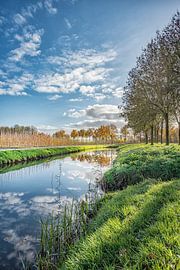 paysage