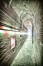Fort Pampus van Erik Reijnders thumbnail