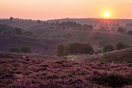 Posbank 13 von Nuance Beeld