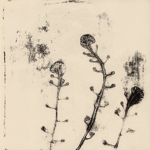 Vintage botanische prints. Drie bloemen.