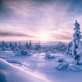 Landschap van Zonsopkomst Finland van HansKl