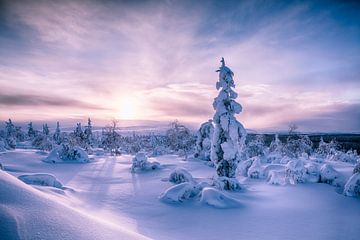 Landschaft des Sonnenaufgangs Finnland