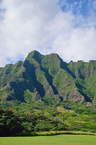 Scherpe bergkammen op de Ko'olau Range