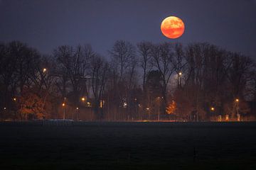 Moulin de la pleine lune de Drunen sur Zwoele Plaatjes