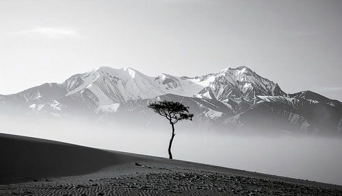 Boom in de woestijn met wolken