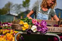 Werk in de tuin