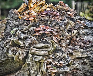 Herbststrauß (2017) von Eric Oudendijk