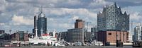 Panorama von Hamburgs Skyline von Jonas Weinitschke Miniaturansicht