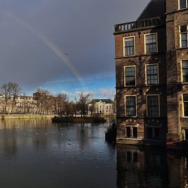 Hofvijver pond, trees and historical buildings at the Dutch Parliament Binnenhof in The Hague, The N by Jan Kranendonk