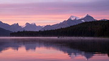 Maligne Lake, Jasper, Alberta, Canada van Alexander Ludwig