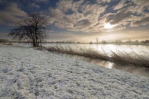 Het Reestdal sur Jaco Hoeve