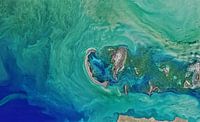 Mer Caspienne du Nord, vue de l'espace par Moondancer . Aperçu