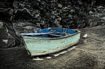 Oude roeiboot van Eric van den Berg