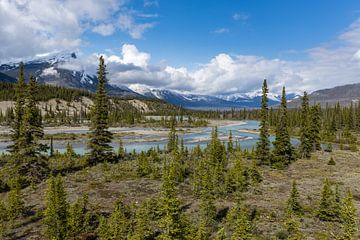 Saskatchewan River Crossing in the Rocky Mountains by Roland Brack