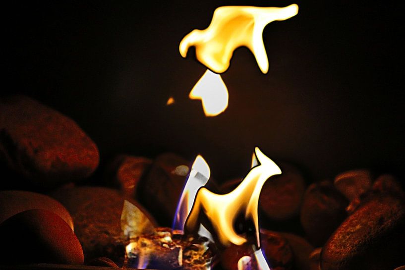 &quot;Neugierde der Flammen&quot; von Simone Marsig