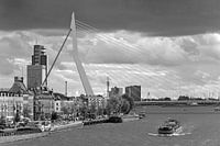 Erasmus bridge black and white in Rotterdam