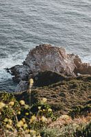 Coastal scene at the famous highway 1