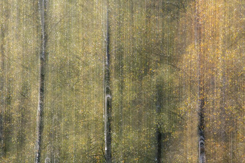 Kleuren op een mooie herfstdag van Ron van Gool