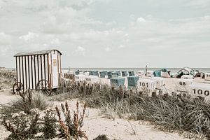 La vie à la plage