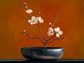 Atmospheric Still Life with Almond Blossom in Ikebana Style by Studio Pieternel