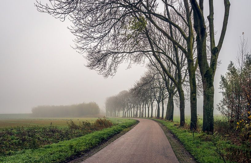 Kurviger Feldweg an einem nebligen Herbsttag, Drimmelen von Ruud Morijn