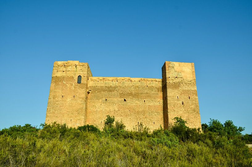 The castillo de forna on a big rock surrounded by green trees and bushes under blue sky by LuCreator