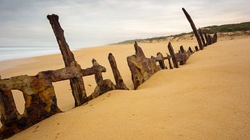 Trinculo Shipwreck von Chris van Kan