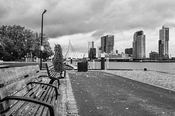 Quai de Rotterdam sur Fokke Terpstra