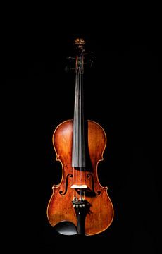 19th century violin on black background by Werner Lerooy