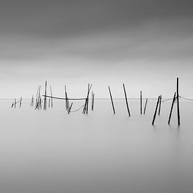 Mikado by Christophe Staelens