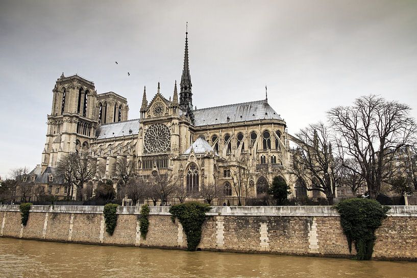 Notre-Dame an der Seine von Dennis van de Water