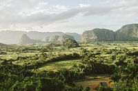 The magical valley of Viñales in Cuba