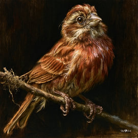 Vögelchen in Ölfarbe von Gelissen Artworks