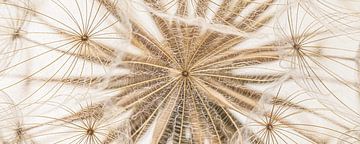 Panorama des Flausches mit dem Herz eines Flauschballs von Marjolijn van den Berg