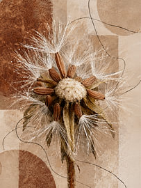 Botanische Mixed-Media-Kunst: Verblühter Löwenzahn in warmen Farbtönen