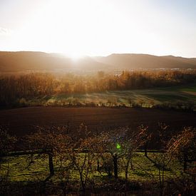 Blick bei Sonnenuntergang auf das Bodetal im Harz im Herbst. von Katrin Friedl Fotografie