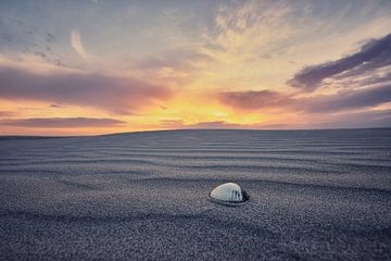 Sfeervolle foto van een schelp op het strand van Edwin van Wijk