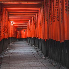 Rode poorten van Kyoto van Sem Viersen