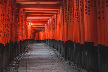 Rode poorten van Kyoto van Sem Viersen
