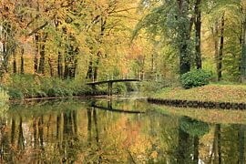 Wald beim Schloss ter Hooge von Wendy Hilberath