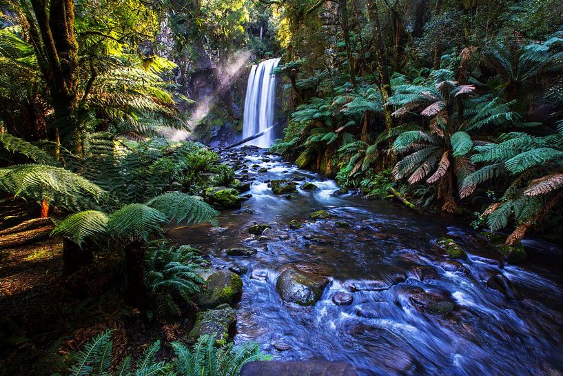 Tropical stream by Walljar