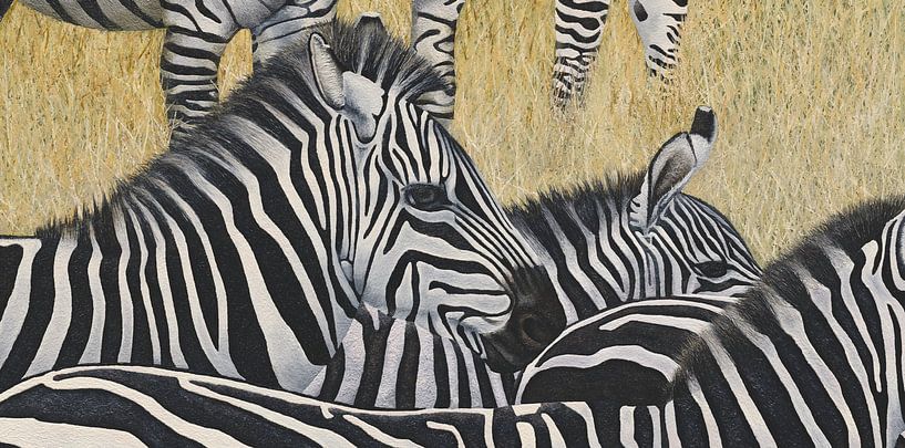 Zebras von Russell Hinckley