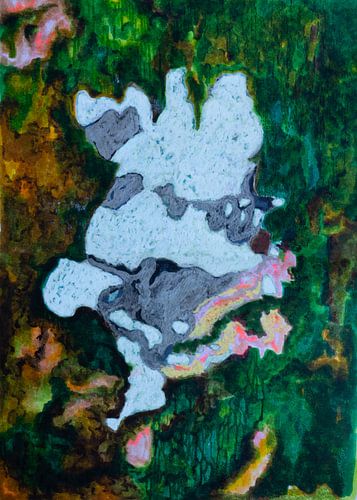Lichen 01