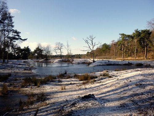 Slabroek in de winter
