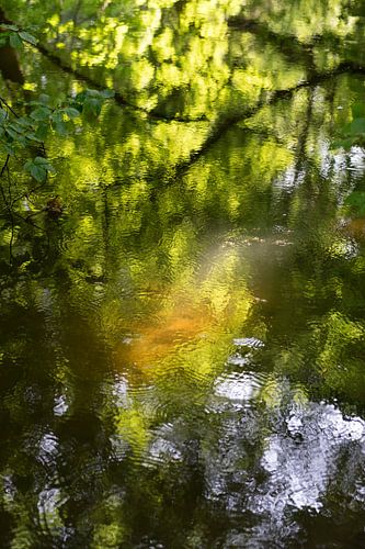 Summer dream on the riverbank